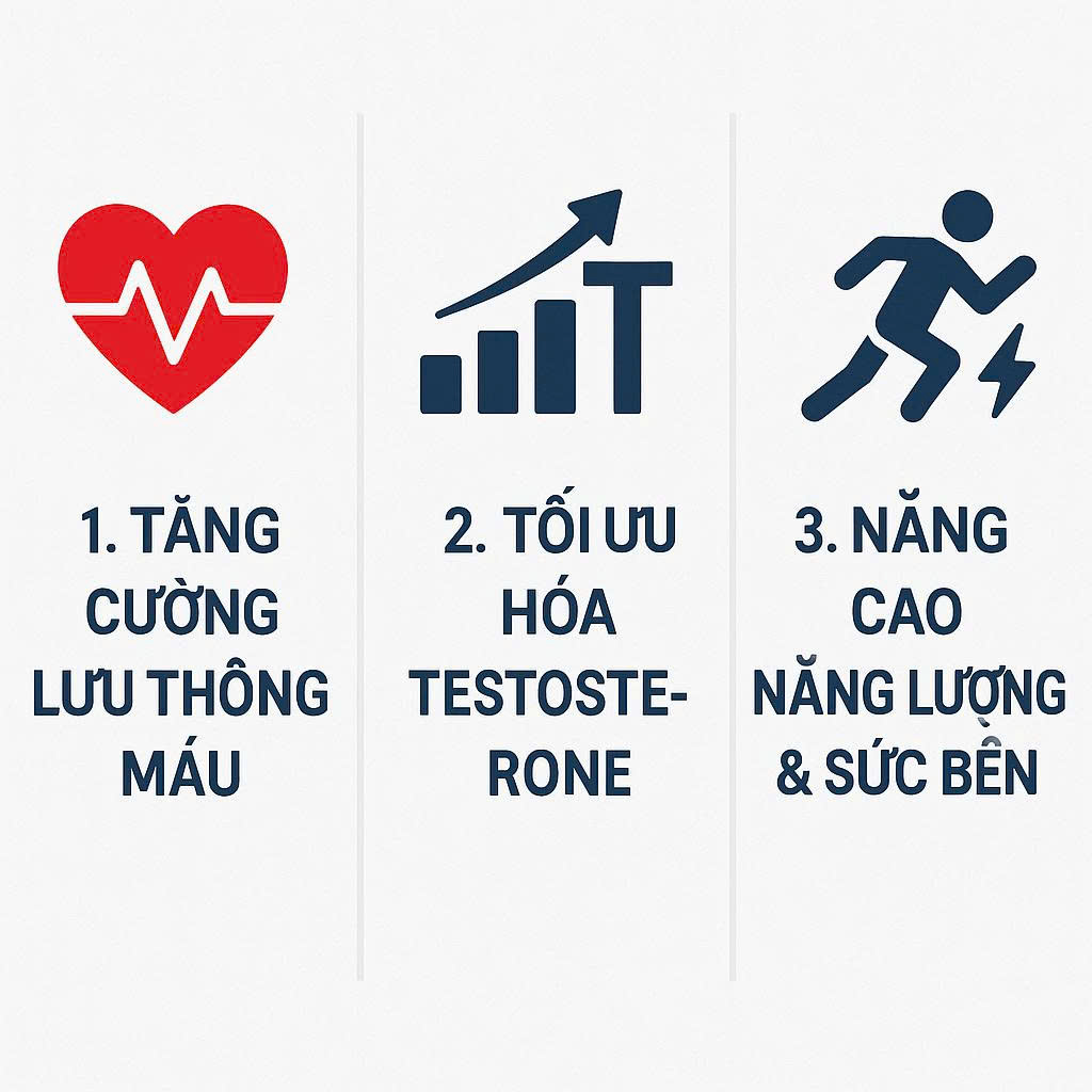 Infographic 3 yếu tố khoa học: Tăng cường lưu thông máu, tối ưu hóa Testosterone và nâng cao sức bền, giải thích cách dinh dưỡng giúp kéo dài thời gian quan hệ.
